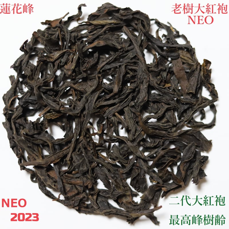 蓮花峰老樹大紅袍 2024 | 武夷岩茶 茶の穂