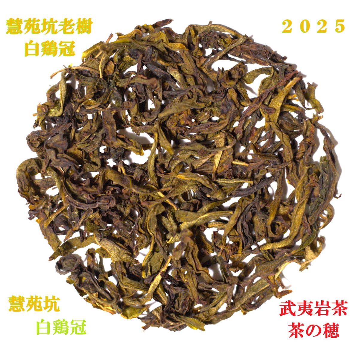 慧苑坑老樹白鶏冠 2025 | 武夷岩茶 茶の穂