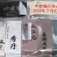 初回のお客さま専用★武夷岩茶 茶の穂 お試しセット 数量限定品