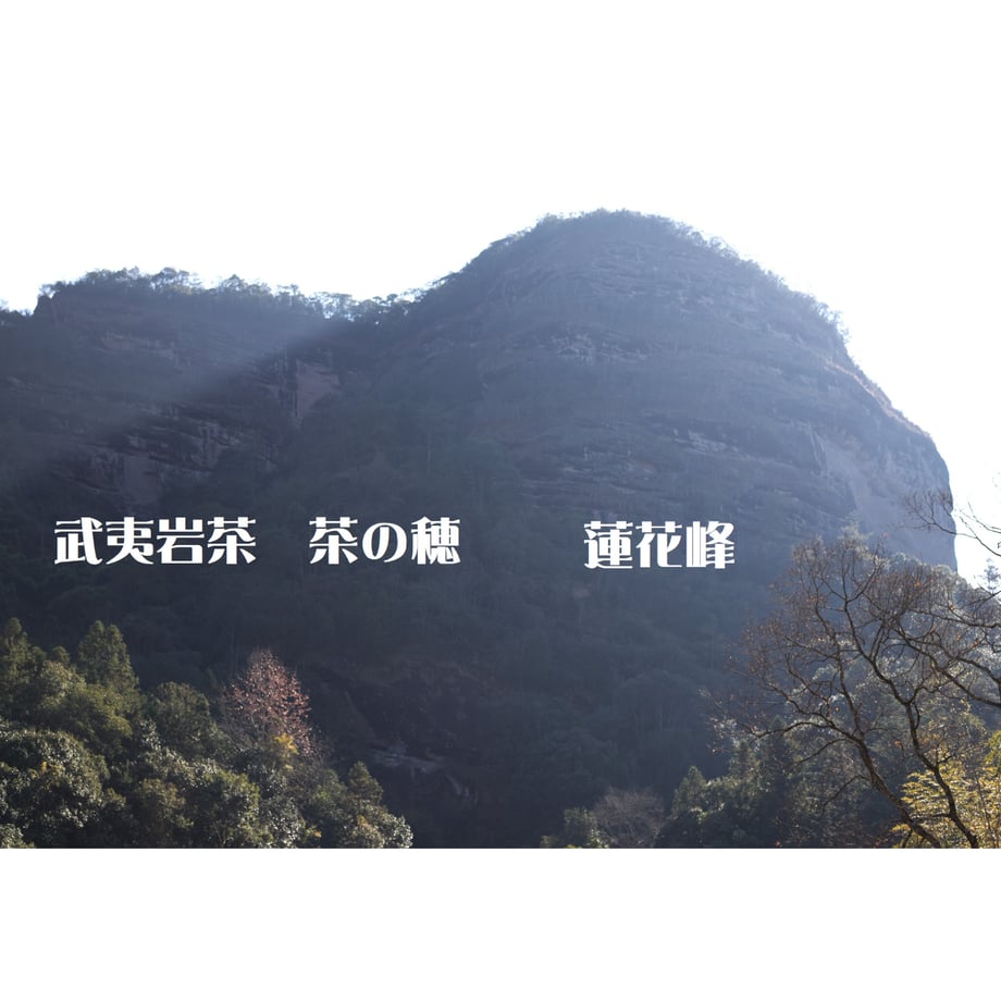 63594a70c92c5d6a9f359d18