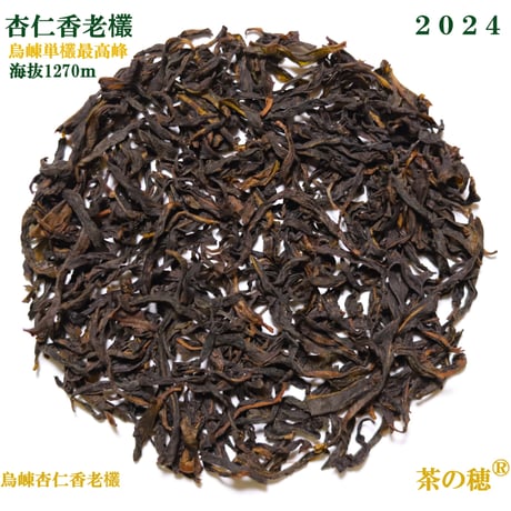 鳳凰単叢 杏仁香老欉 2024 烏崠天池