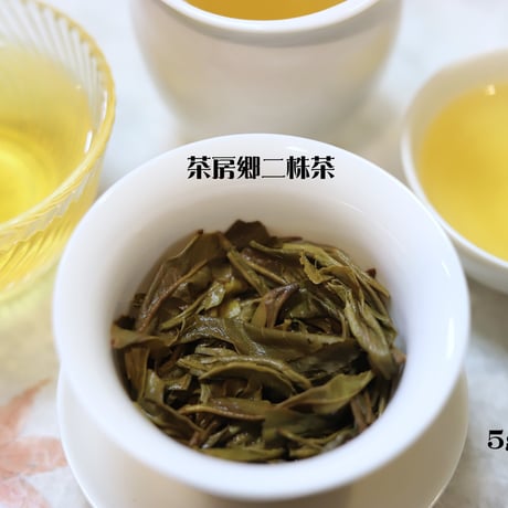 茶房郷高山古樹生茶 二株餅茶 2023