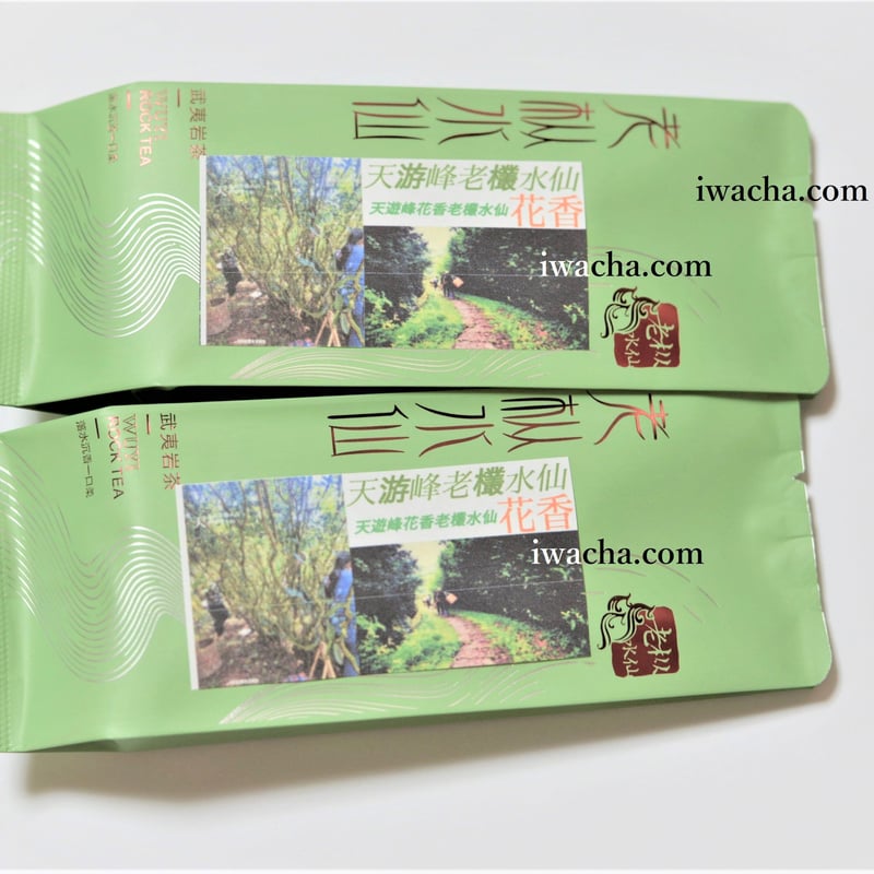 山茶花　茶花　石蕗　南天他 山茶花 茶花 石蕗 南天他 山茶花 茶花 石蕗 南天他 季節の茶花｜SAKURA