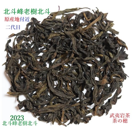 北斗峰老樹北斗