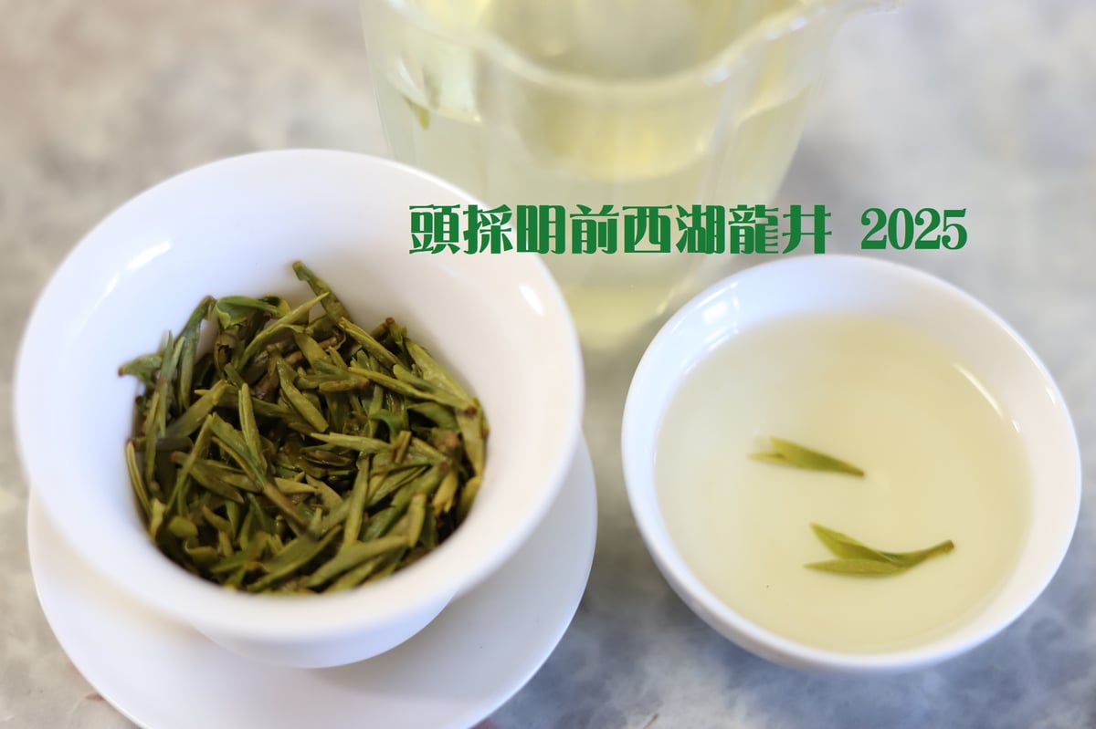 龍井茶/頭採明前西湖龍井 2025 | 武夷岩茶 茶の穂 龍井茶/頭採明前西湖龍井 2025 | 武夷岩茶 茶の穂