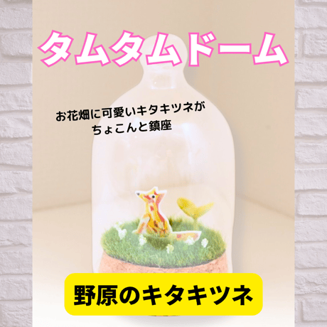 タムタムドーム