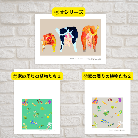 ポストカード(全40種)