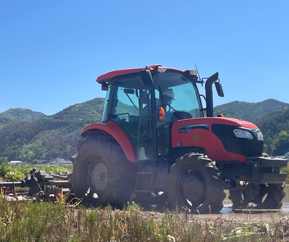 令和7年産 おにぎりにしても美味しいお米『信州産コシヒカリ玄米