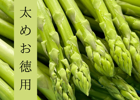 信州産 アスパラガス 2L〜3L 1.8kg 朝採れアスパラガス【M〜L 信州産 アスパラガス 2L〜3L 1.8kg 朝採れアスパラガス【M〜L