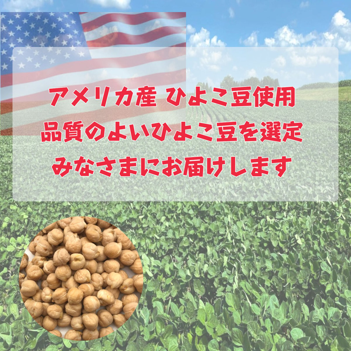 サラダ　スーパーフード　スープ　ひよこ豆　保存に...　ガルバンゾー　1ｋｇ　アメリカ産　カレー