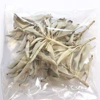 ホワイトセージ