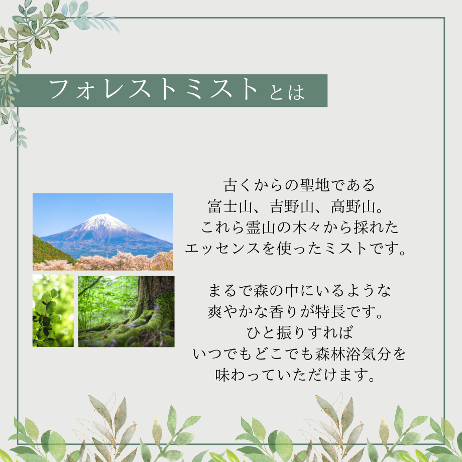 65b85b795c2c070361d856c8