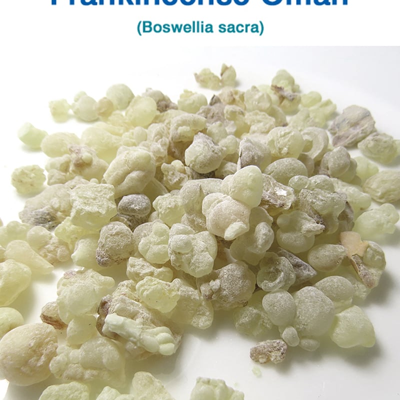 大粒フランキンセンス Fresh Green 北アフリカオマーン産乳香約500g 大粒フランキンセンス Fresh Green 北アフリカオマーン産乳香約500g