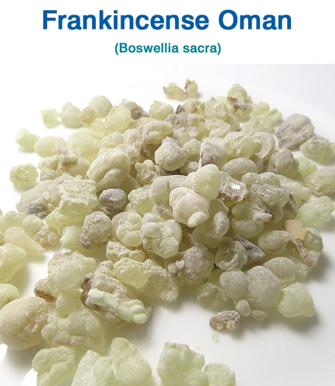 うっちゃん秘宝Frankincense 5.8mlプラチナセール°˖✧ FRANKINCENSE(乳香)-OMAN | shizucalwax