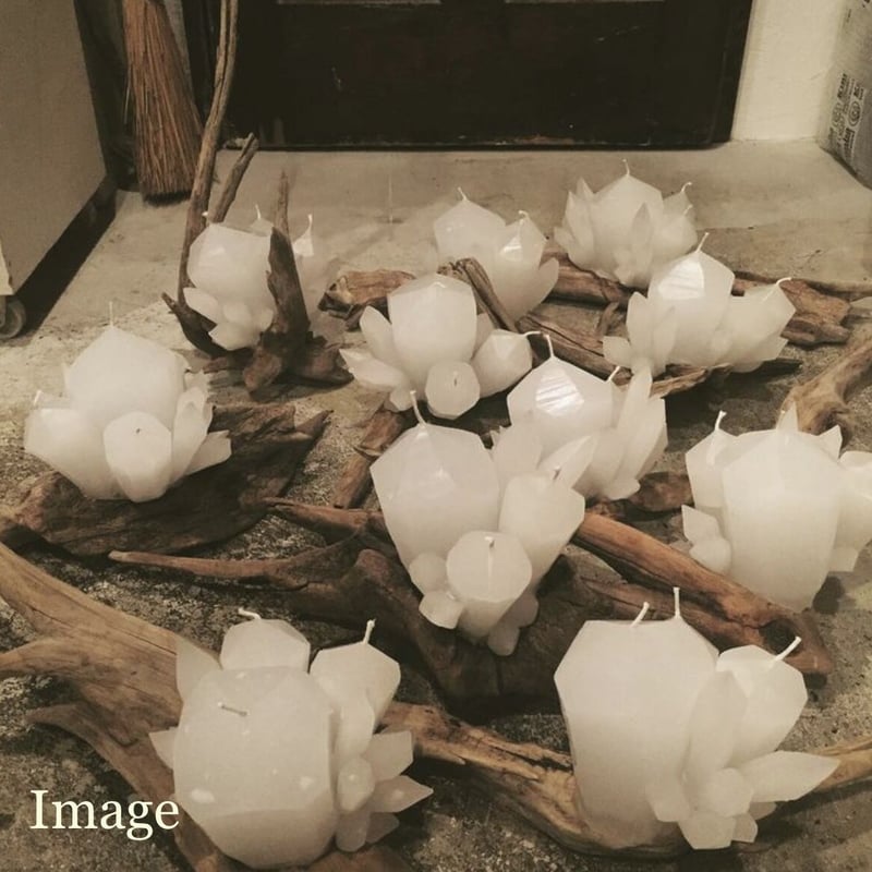流木CRYSTAL | shizucalwax