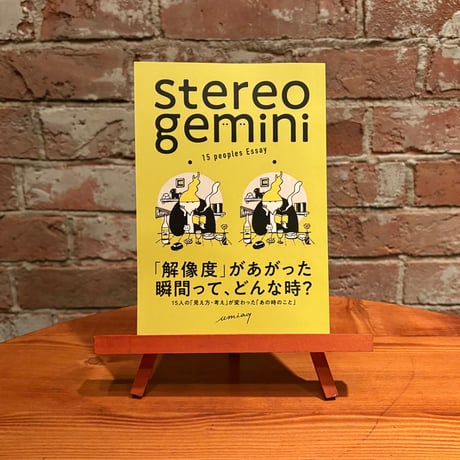 stereo gemini