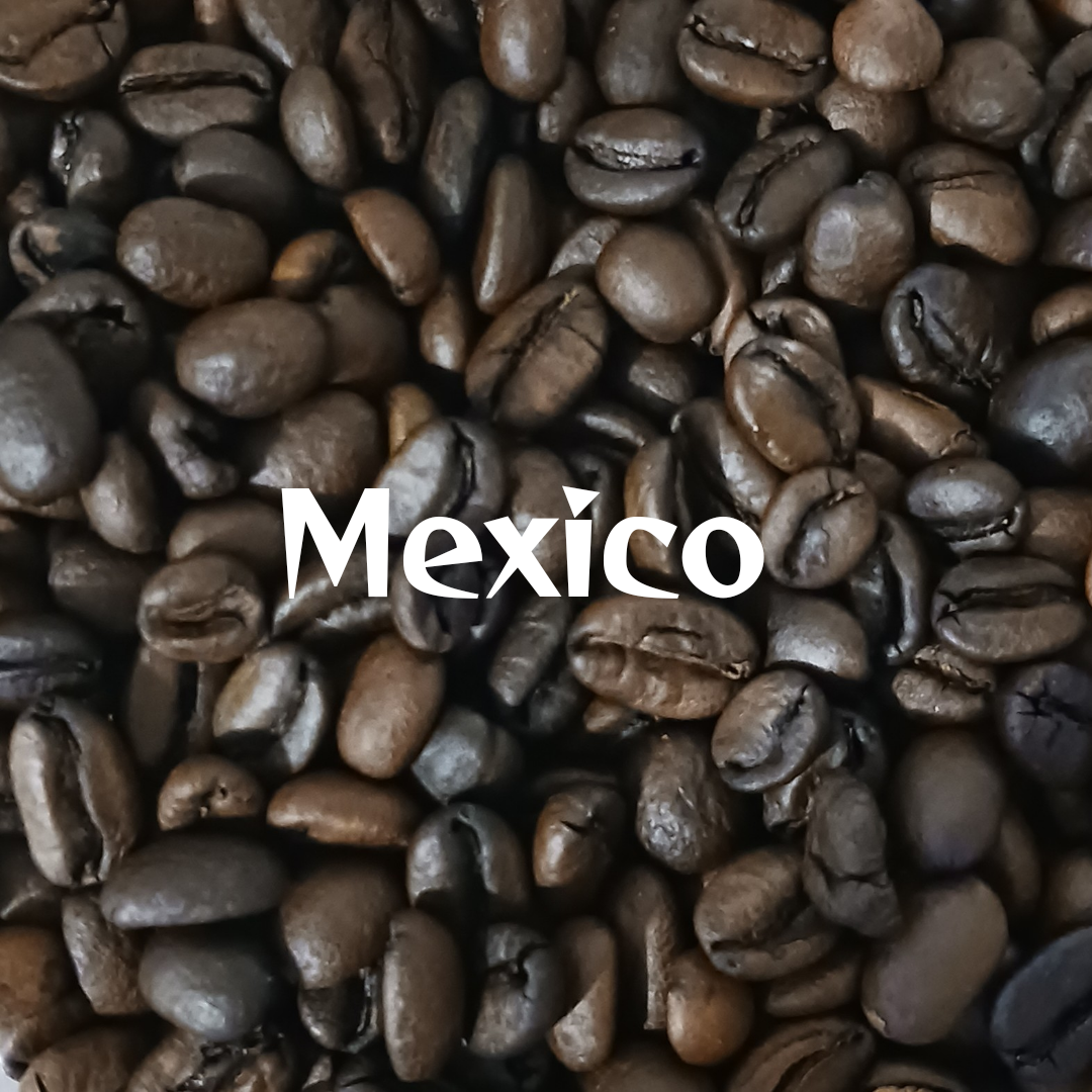 100g】農薬不使用豆 メキシコ マヤビニック 中煎り | ヤスマメ