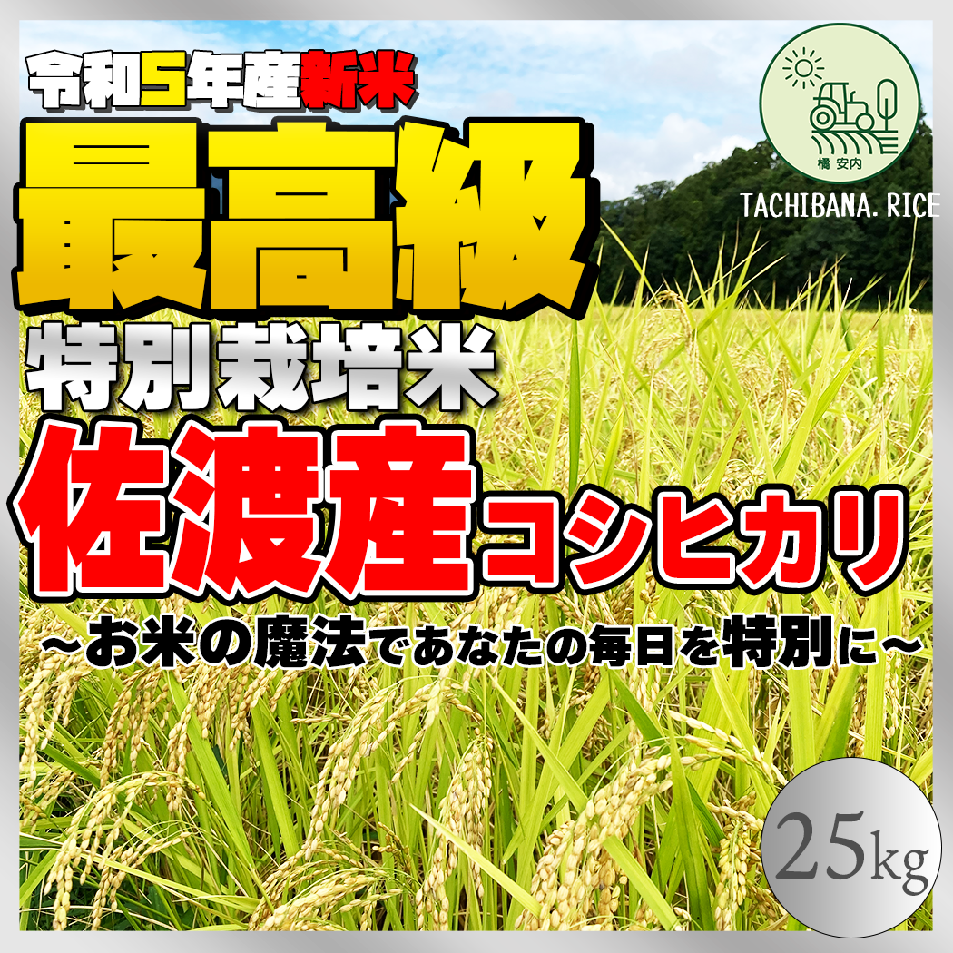 R5新米】佐渡産コシヒカリ ー特別栽培米ー 25kg-