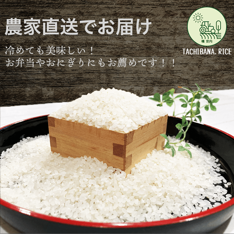 多くの農家は業務用米生産！ 玄米10kg ３年産コシヒカリ 特栽① 農薬等