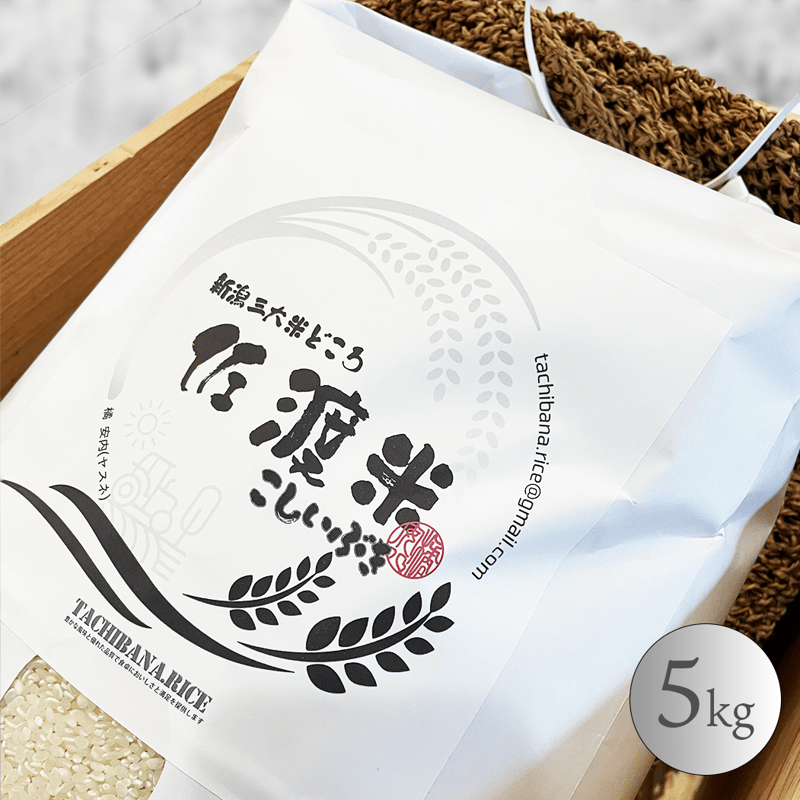 ☆家計応援☆【R6年産新米】佐渡産こしいぶき ー慣行栽培米ー 25kg