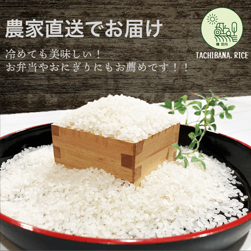 ☆極上☆【R6年産新米】佐渡産コシヒカリ ー特別栽培米ー25kg ☆極上☆【R6年産新米】佐渡産コシヒカリ ー特別栽培米ー25kg
