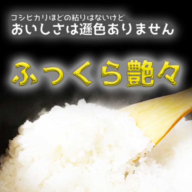 ☆家計応援☆【R6年産新米】佐渡産こしいぶき ー慣行栽培米ー 25kg
