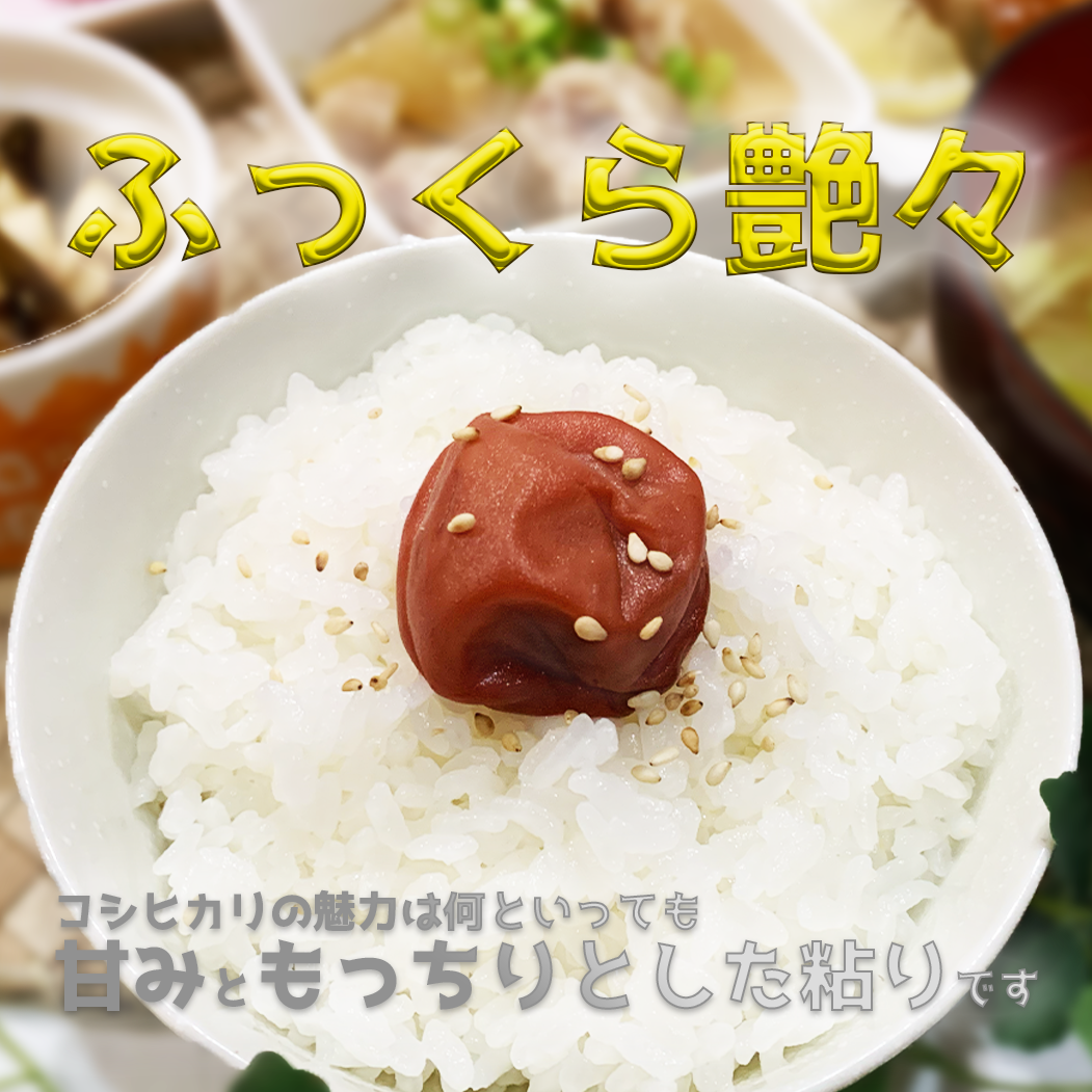 ☆極上☆【R7年産】佐渡産コシヒカリ ー特別栽培米ー10kg | TACHIBANA.RICE