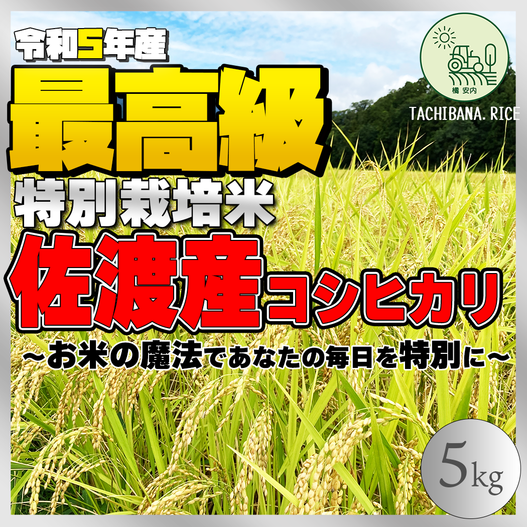 ☆新米☆[玄米]特別栽培米コシヒカリ２kg生産農家の直接販売 - 米