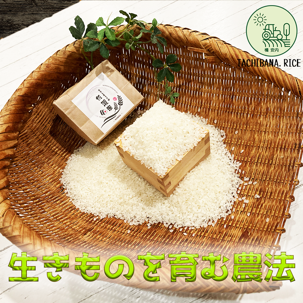コシヒカリ　25ｋｇ　玄米　令和7年産 ☆極上☆【R7年産】佐渡産コシヒカリ ー特別栽培米ー25kg（玄米出荷