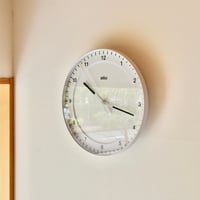 Braun｜BC17｜White