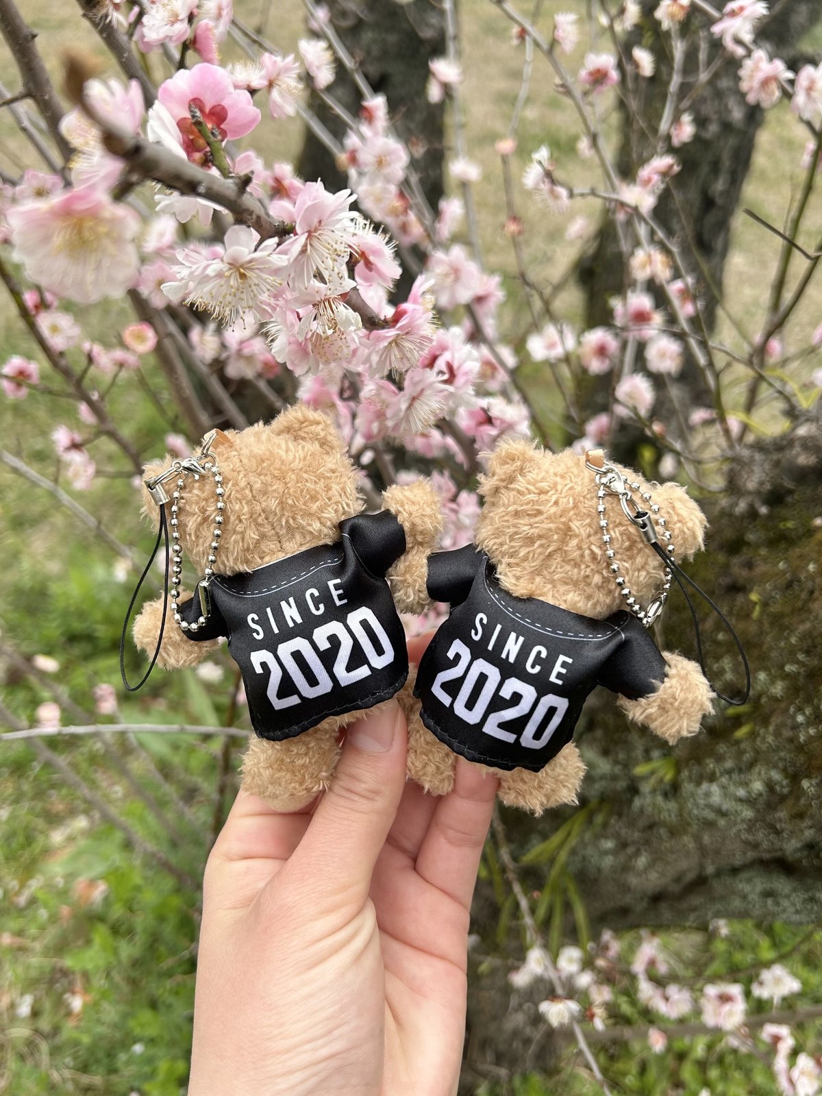 ユニフォームくまちゃん | Kyushuasiabeseball STORE