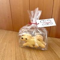 ＜通販予約＞お散歩イヌクッキー　6月4日発送
