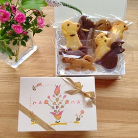 11月の予定 | hana