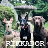 RIKKADOR