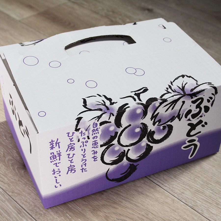 信州須坂産シャインマスカット 4Lサイズ 600g×2房 | SonosatoFarm