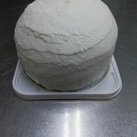 クリームドーム （フルーツなし）21cm