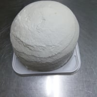 クリームドーム （フルーツなし）15cm