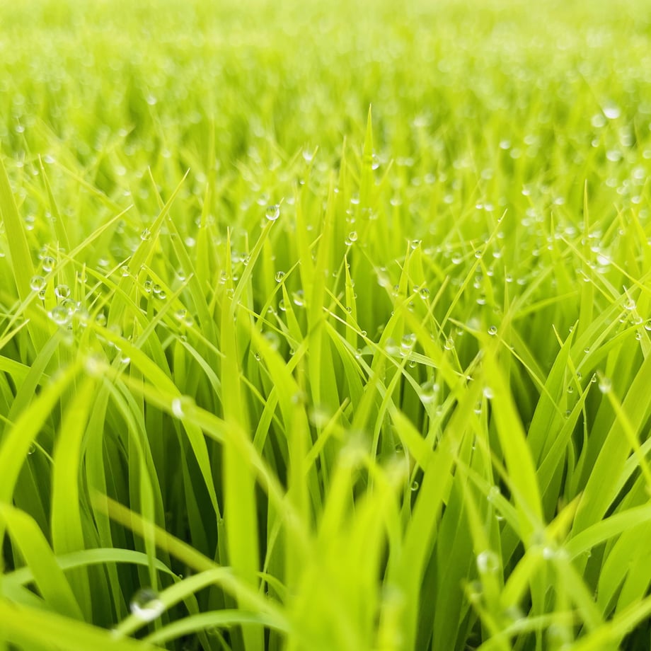 64c5aad50decc70038372ccd