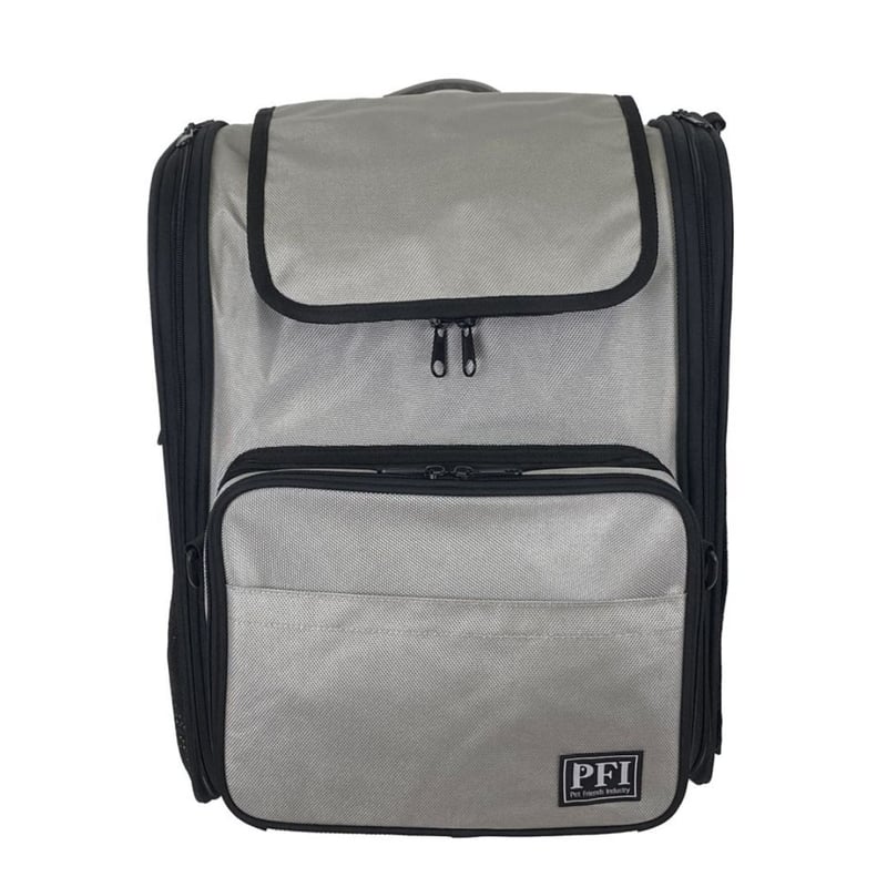 ルードギャラリー、スカル、バックプリント、検索/ワコマリア、クーティー、キャリー PFI多機能キャリーバッグ グレー | CARA BY SUGIMARU