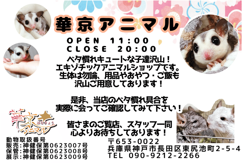 華京アニマル 小動物用 パウダーフード ハムスター フクロモモンガ ハリネズミ 華京アニマル 小動物用 パウダーフード ハムスター