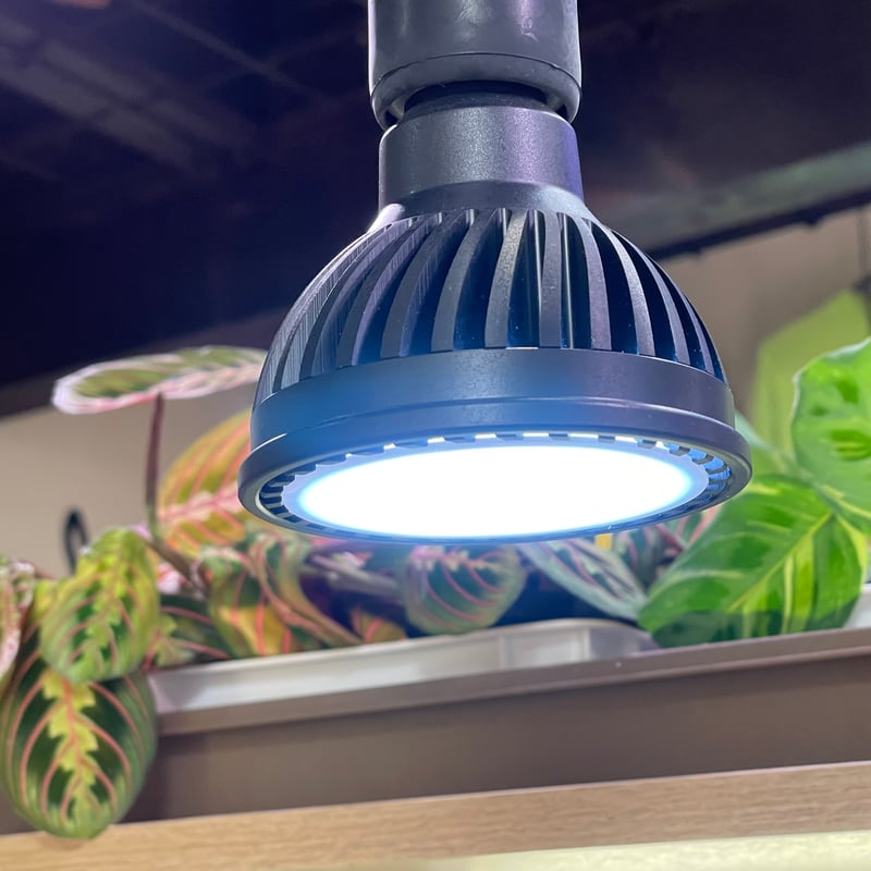 PLANTS NEXLIGHT 育成ライト PAR30 電球色 | PROTOLEAF プロトリーフ