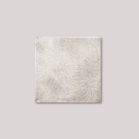 Ordi tin plate 150×150mm 【NAGAE+（ナガエプリュス）】