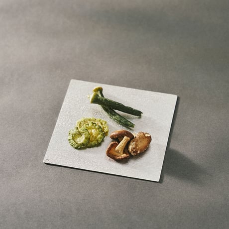Ordi tin plate 150×150mm 【NAGAE+（ナガエプリュス）】