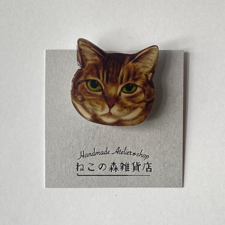 ぶちねこ ぶち猫ってどんな猫？性格や特徴、三毛猫との違いなどについてご解説