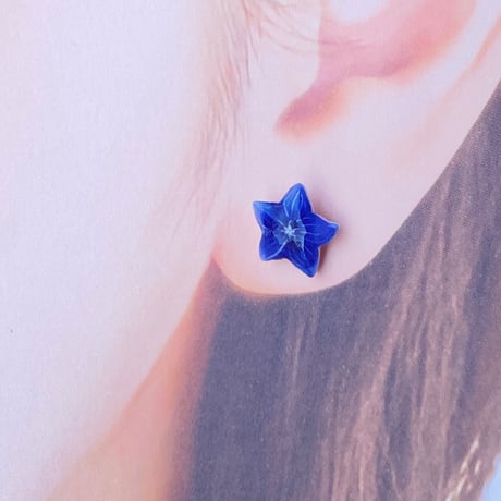 【季節限定】キキョウのイヤリングorピアス