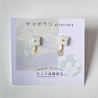 【季節限定】ヤマボウシのイヤリングorピアス