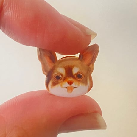 チワワのピンバッジ(ココア)