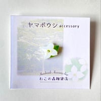 【季節限定】ヤマボウシのピンバッジ