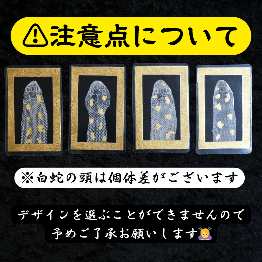 65bc8668508a1045ca33b0dc