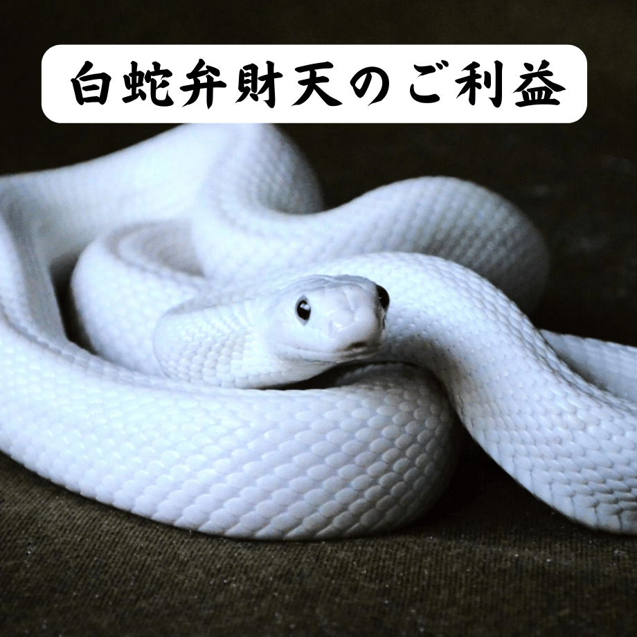 656e8ba402ecc3002bc248d4